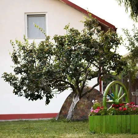 Toate Panzele Sus Pensionat