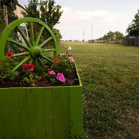 Toate Panzele Sus Pensionat