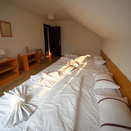 Pensionat Toate Panzele Sus