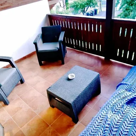 Pensionat Toate Panzele Sus *