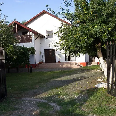 Toate Panzele Sus