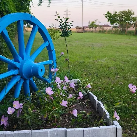 Affittacamere Toate Panzele Sus *