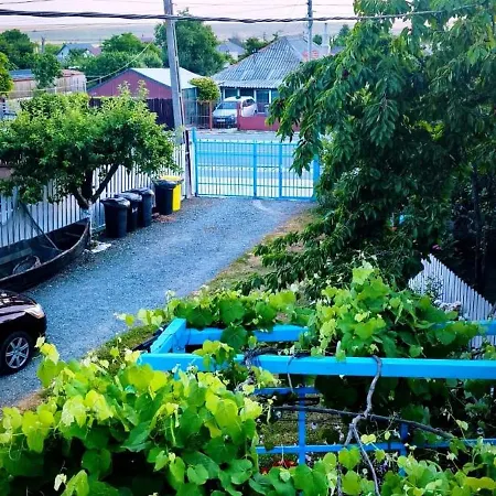 Toate Panzele Sus Affittacamere Corbu (Constanta)