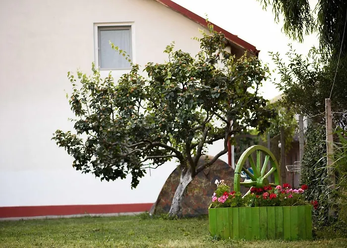 Toate Panzele Sus Guest house