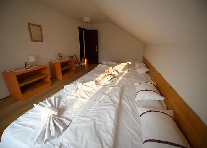 Guest house Toate Panzele Sus