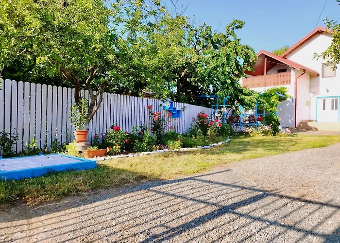 Guest house Toate Panzele Sus