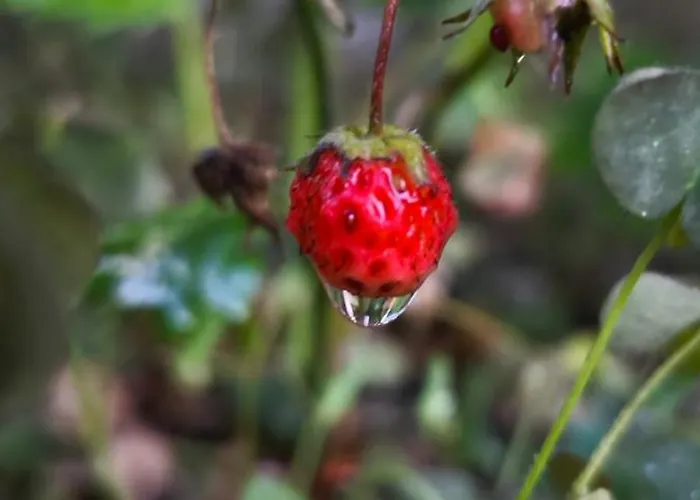 Toate Panzele Sus Guest house *