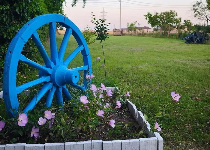 Guest house Toate Panzele Sus *