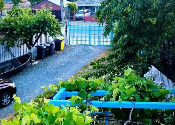 Toate Panzele Sus Guest house Corbu (Constanta)