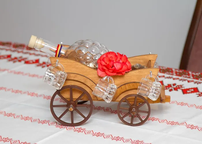 Guest house Toate Panzele Sus *